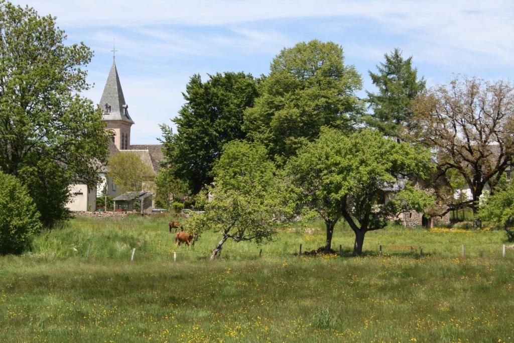 Auberge De Saint Julien Aux Bois Saint-Julien-aux-Bois Exterior foto